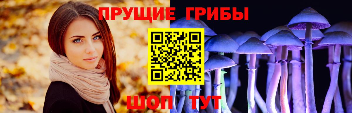 Псилоцибиновые грибы Cubensis  Вход с VPN  Галлюциногенные грибы Psilocybe  Сатка 
